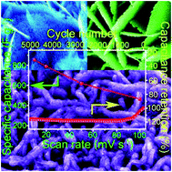 Graphical abstract: Hierarchical heterostructures of MnO2 nanosheets or nanorods grown on Au-coated Co3O4 porous nanowalls for high-performance pseudocapacitance