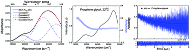 Graphical abstract: Polarization properties of fluorescent BSA protected Au25 nanoclusters