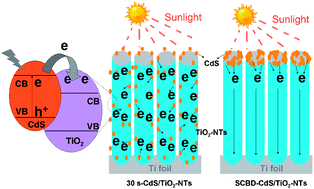 Graphical abstract: Photoelectrocatalytic degradation of organic pollutants via a CdS quantum dots enhanced TiO2 nanotube array electrode under visible light irradiation