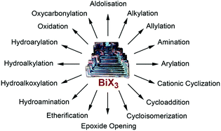 Graphical abstract: New trends in bismuth-catalyzed synthetic transformations