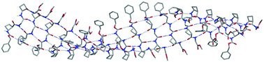 Graphical abstract: Low-molecular-weight gelators consisting of hybrid cyclobutane-based peptides