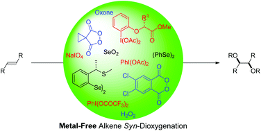 Graphical abstract: Metal-free syn-dioxygenation of alkenes