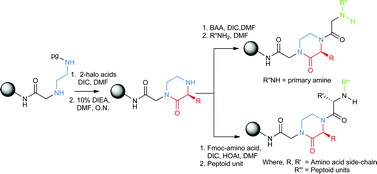 Graphical abstract: Synthesis of libraries of peptidomimetic compounds containing a 2-oxopiperazine unit in the main chain