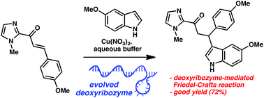 Graphical abstract: In vitro evolution of a Friedel–Crafts deoxyribozyme