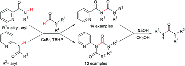 Graphical abstract: Copper-catalysed oxidative C–H/N–H cross-coupling between formamides and amides through chelation-assisted N–H activation