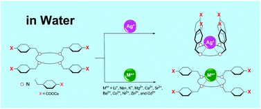 Graphical abstract: The water-soluble argentivorous molecule: Ag+–π interactions in water