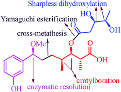 Graphical abstract: The first total synthesis of nhatrangin A