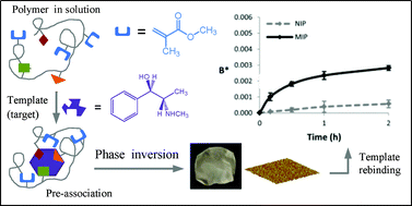 Graphical abstract: Molecularly imprinted films of acrylonitrile/methyl methacrylate/acrylic acid terpolymers: influence of methyl methacrylate in the binding performance of l-ephedrine imprinted films