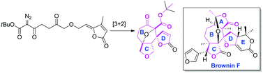 Graphical abstract: First studies directed towards the diastereoselective synthesis of the BCD tricyclic core of brownin F