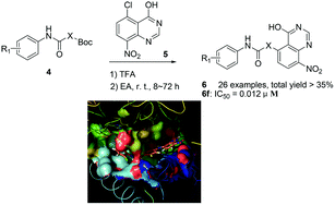 Graphical abstract: Novel 5-anilinoquinazoline-8-nitro derivatives as inhibitors of VEGFR-2 tyrosine kinase: synthesis, biological evaluation and molecular docking