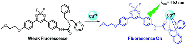 Graphical abstract: A selective turn-on fluorescent probe for Cd2+ based on a boron difluoride β-dibenzoyl dye and its application in living cells