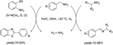 Graphical abstract: Formation of C [[double bond, length as m-dash]] N bonds by the release of H2: a new strategy for synthesis of imines and benzazoles