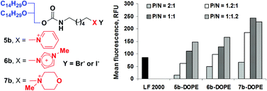 Graphical abstract: Structure–transfection activity relationships in a series of novel cationic lipids with heterocyclic head-groups