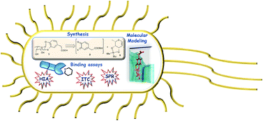 Graphical abstract: Synthesis of a selective inhibitor of a fucose binding bacterial lectin from Burkholderia ambifaria