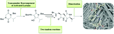 Graphical abstract: Stereoselective synthesis of original spirolactams displaying promising folded structures