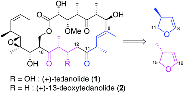 Graphical abstract: Directed studies towards the total synthesis of (+)-13-deoxytedanolide: simple and convenient synthesis of the C8–C16 fragment