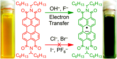 Graphical abstract: Tunable electronic interactions between anions and perylenediimide