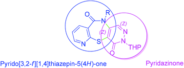 Graphical abstract: A transition metal-free tandem process to pyridazinopyrido[3,2-f][1,4]thiazepine-diones via Smiles rearrangement