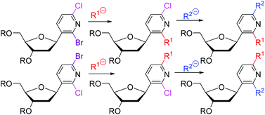 Graphical abstract: Synthesis of 2,6-disubstituted pyridin-3-yl C-2′-deoxyribonucleosides through chemoselective transformations of bromo-chloropyridine C-nucleosides