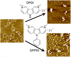 Graphical abstract: Interactions of newly designed dicationic carbazole derivatives with double-stranded DNA: syntheses, binding studies and AFM imaging