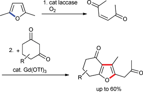 Graphical abstract: Combination of enzyme- and Lewis acid-catalyzed reactions: a new method for the synthesis of 6,7-dihydrobenzofuran-4(5H)-ones starting from 2,5-dimethylfuran and 1,3-cyclohexanediones