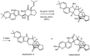 Graphical abstract: The cascade radical cyclisation approach to prenylated alkaloids: synthesis of stephacidin A and notoamide B