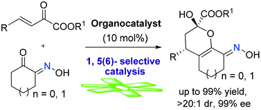 Graphical abstract: Catalytic highly asymmetric 1,5(6)-selective cyclization reaction of α-hydroxyimino cyclic ketones: direct approach to ring-fused hydroxyimino dihydropyrans