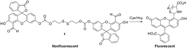 Graphical abstract: Fluorescein aldehyde with disulfide functionality as a fluorescence turn-on probe for cysteine and homocysteine in HEPES buffer