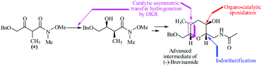 Graphical abstract: Enantioselective synthesis of δ-/γ-alkoxy-β-hydroxy-α-alkyl-substituted Weinreb amides via DKR–ATH: application to the synthesis of advanced intermediate of (−)-brevisamide