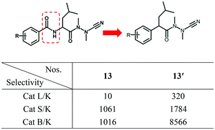 Graphical abstract: Highly selective aza-nitrile inhibitors for cathepsin K, structural optimization and molecular modeling