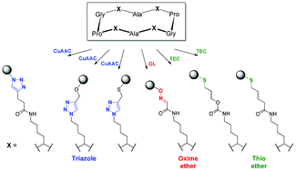 Graphical abstract: Tetravalent glycocyclopeptide with nanomolar affinity to wheat germ agglutinin