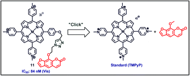 Graphical abstract: Novel porphyrin–psoralen conjugates: synthesis, DNA interaction and cytotoxicity studies