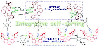 Graphical abstract: Merging strong and weak coordination motifs in the integrative self-sorting of a 5-component trapezoid and scalene triangle