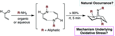 Graphical abstract: 2,6,9-Triazabicyclo[3.3.1]nonanes as overlooked amino-modification products by acrolein