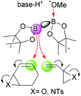 Graphical abstract: Metal-free borylative ring-opening of vinyl epoxides and aziridines