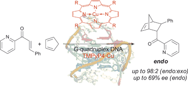 Graphical abstract: The influence of G-quadruplex structure on DNA-based asymmetric catalysis using the G-quadruplex-bound cationic porphyrin TMPyP4·Cu