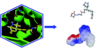 Graphical abstract: Tailor-made LasR agonists modulate quorum sensing in Pseudomonas aeruginosa