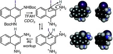 Graphical abstract: Observation by NMR of cationic Wheland-like intermediates in the deiodination of protected 1-iodonaphthalene-2,4-diamines in acidic media