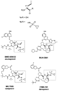 Graphical abstract: Concise asymmetric synthesis of a (1R,2S)-1-amino-2-vinylcyclopropanecarboxylic acid-derived sulfonamide and ethyl ester