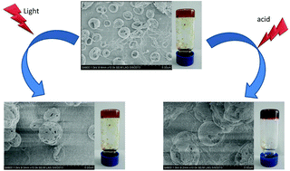 Graphical abstract: Light and acid dual-responsive organogel formation based on m-methyl red derivative