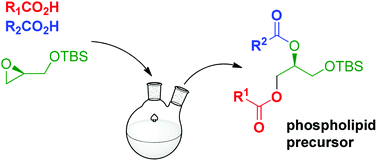 Graphical abstract: Catalytic synthesis of enantiopure mixed diacylglycerols – synthesis of a major M. tuberculosis phospholipid and platelet activating factor