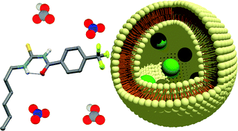 Graphical abstract: Acylthioureas as anion transporters: the effect of intramolecular hydrogen bonding