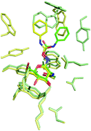 Graphical abstract: Inhibition of the family 20 glycoside hydrolase catalytic modules in the Streptococcus pneumoniae exo-β-d-N-acetylglucosaminidase, StrH