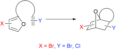 Graphical abstract: Halogenation effects in intramolecular furan Diels–Alder reactions: broad scope synthetic and computational studies