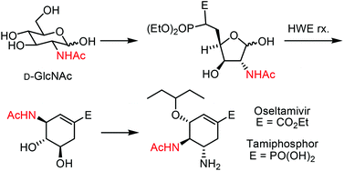 Graphical abstract: Synthesis of oseltamivir and tamiphosphor from N-acetyl-d-glucosamine