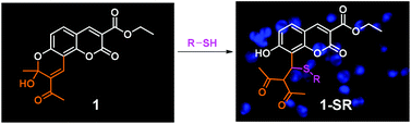 Graphical abstract: A coumarin-based fluorescent probe for biological thiols and its application for living cell imaging