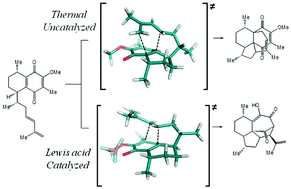 Graphical abstract: Theoretical study on the molecular mechanism of the [5 + 2] vs. [4 + 2] cyclization mediated by Lewis acid in the quinone system