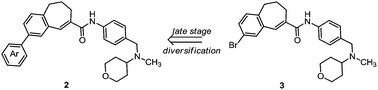 Graphical abstract: Diverse modifications of the 4-methylphenyl moiety of TAK-779 by late-stage Suzuki–Miyaura cross-coupling