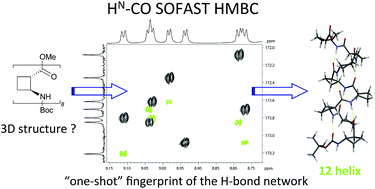Graphical abstract: Fast-pulsing NMR techniques for the detection of weak interactions: successful natural abundance probe of hydrogen bonds in peptides