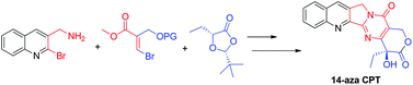 Graphical abstract: Total synthesis of (S)-14-azacamptothecin